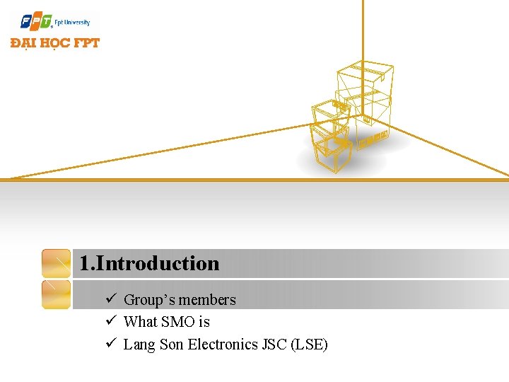 1. Introduction ü Group’s members ü What SMO is ü Lang Son Electronics JSC