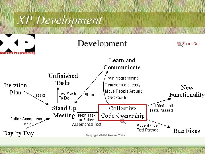 XP Development XP Development