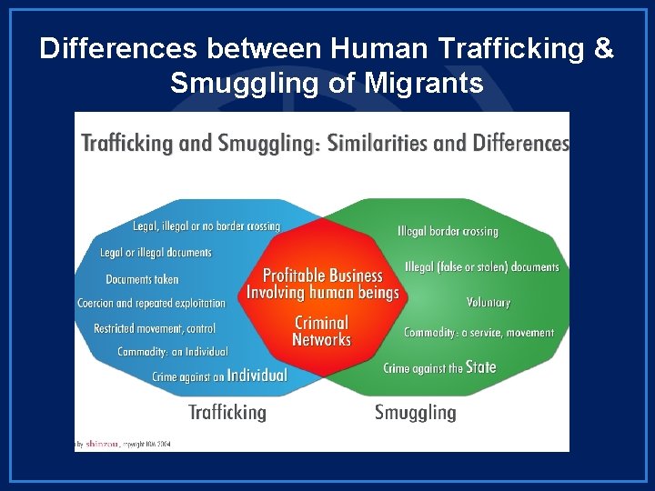 Differences between Human Trafficking & Smuggling of Migrants 