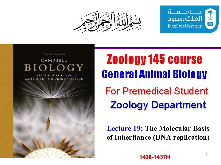 Zoology 145 course General Animal Biology For Premedical Student Zoology Department Lecture 19: The