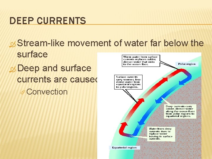 DEEP CURRENTS Stream-like movement of water far below the surface Deep and surface currents