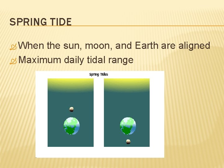 SPRING TIDE When the sun, moon, and Earth are aligned Maximum daily tidal range