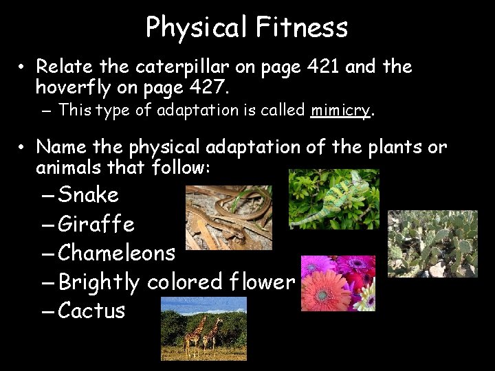 Physical Fitness • Relate the caterpillar on page 421 and the hoverfly on page