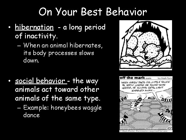 On Your Best Behavior • hibernation - a long period of inactivity. – When