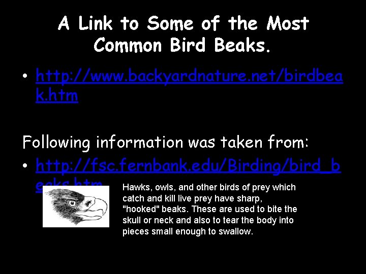 A Link to Some of the Most Common Bird Beaks. • http: //www. backyardnature.