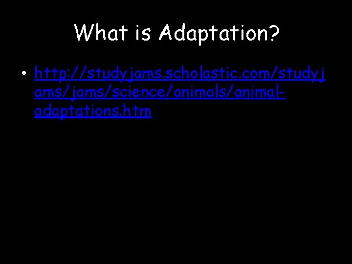 What is Adaptation? • http: //studyjams. scholastic. com/studyj ams/jams/science/animals/animaladaptations. htm 