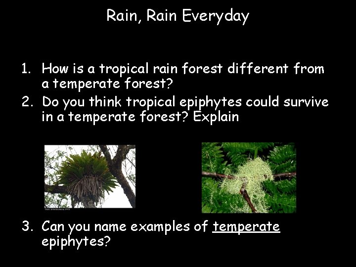 Rain, Rain Everyday 1. How is a tropical rain forest different from a temperate