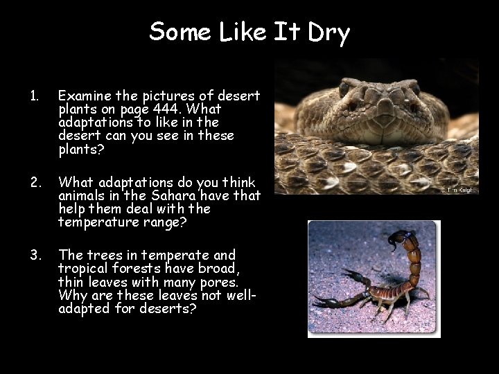 Some Like It Dry 1. Examine the pictures of desert plants on page 444.