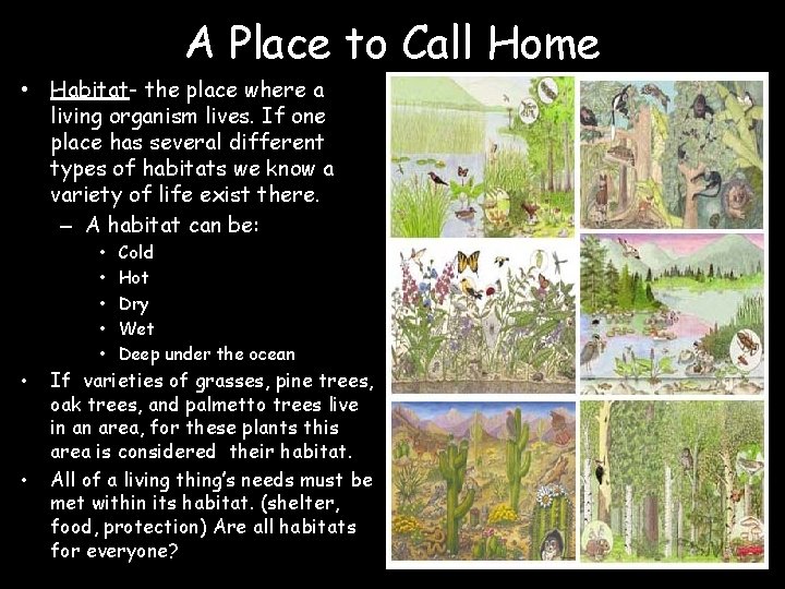 A Place to Call Home • Habitat- the place where a living organism lives.