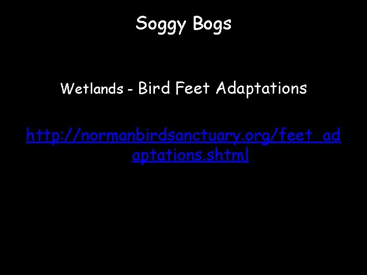 Soggy Bogs Wetlands - Bird Feet Adaptations http: //normanbirdsanctuary. org/feet_ad aptations. shtml 