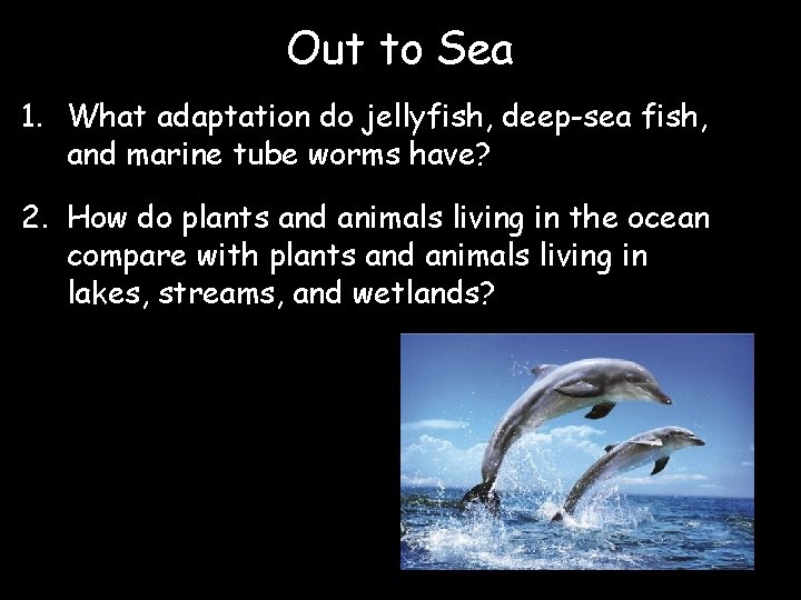 Out to Sea 1. What adaptation do jellyfish, deep-sea fish, and marine tube worms