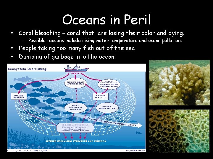 Oceans in Peril • Coral bleaching – coral that are losing their color and