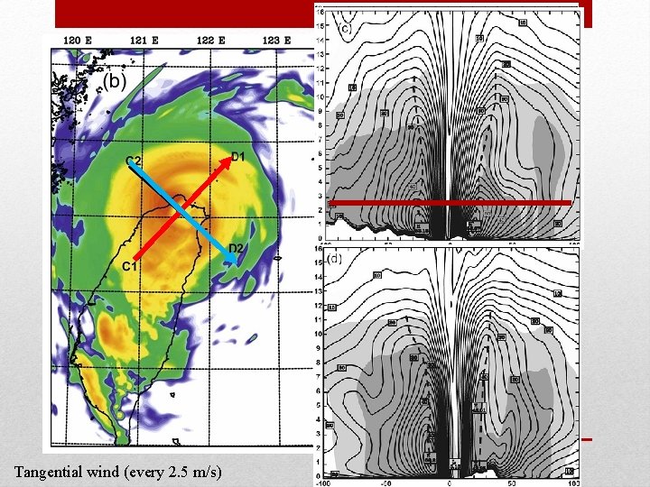 Tangential wind (every 2. 5 m/s) Tangential wind (every 2. 5 m/s)