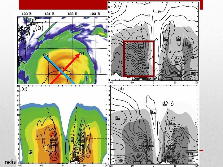 radial wind (every 2. 5 m/s) radial wind (every 2. 5 m/s)