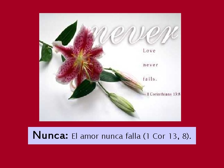 Nunca: El amor nunca falla (1 Cor 13, 8). 