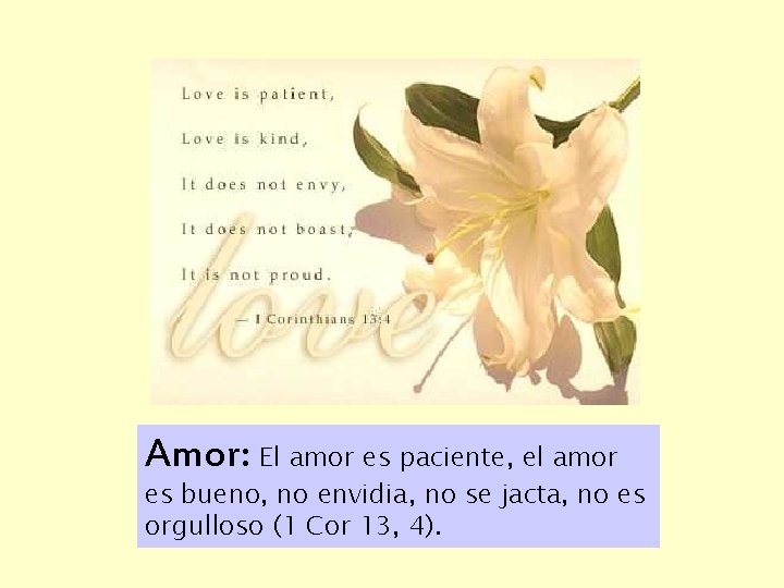 Amor: El amor es paciente, el amor es bueno, no envidia, no se jacta,
