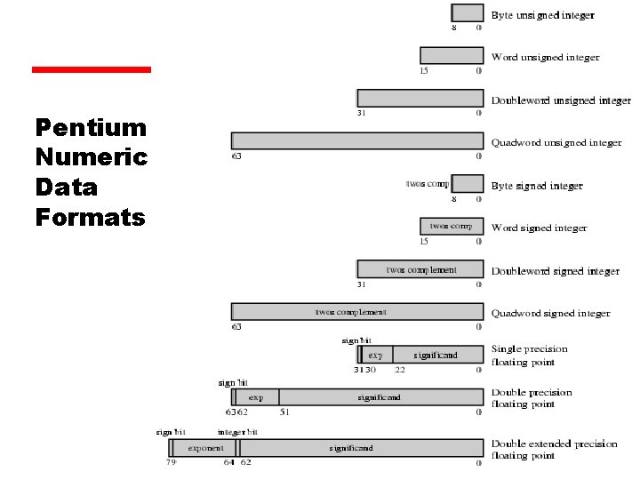 Pentium Numeric Data Formats 