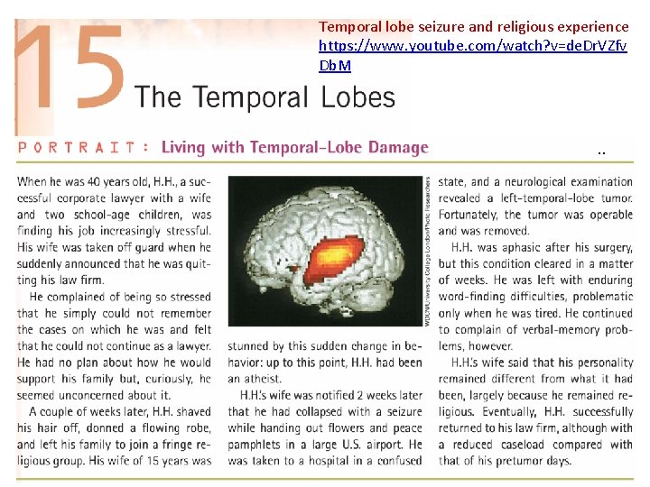 Temporal lobe seizure and religious experience https: //www. youtube. com/watch? v=de. Dr. VZfv Db.