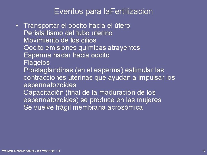 Eventos para la. Fertilizacion • Transportar el oocito hacia el útero Peristaltismo del tubo