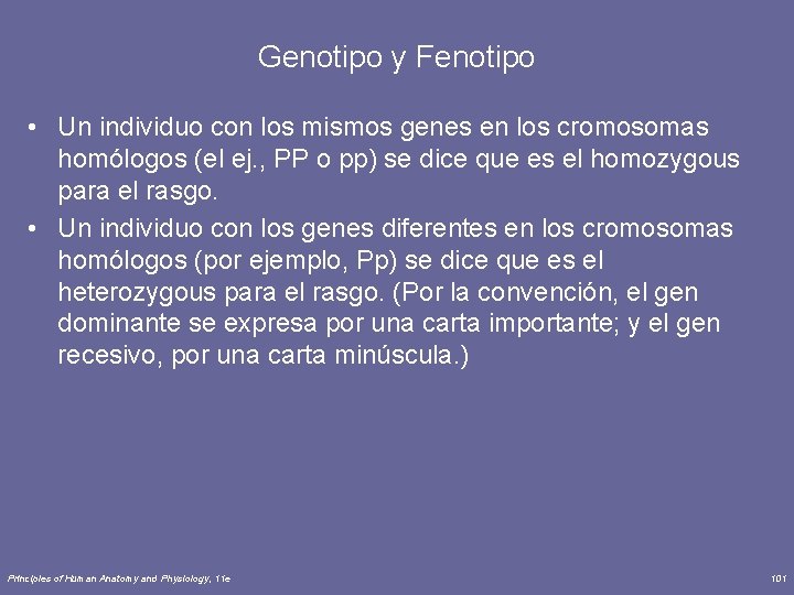 Genotipo y Fenotipo • Un individuo con los mismos genes en los cromosomas homólogos