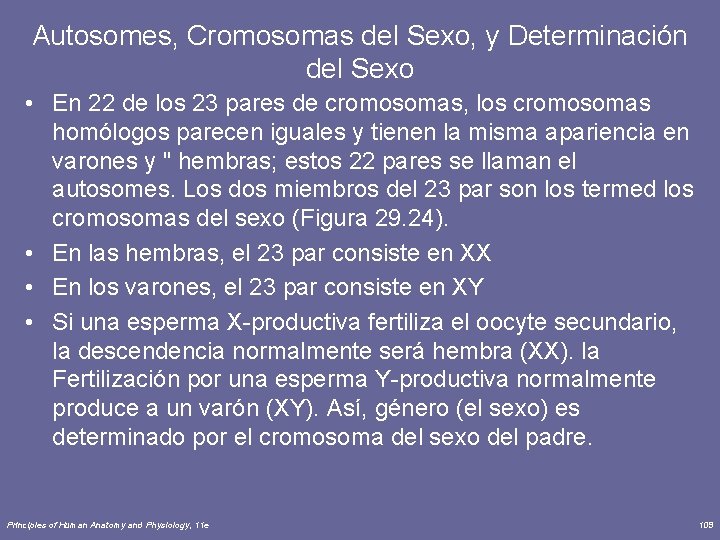 Autosomes, Cromosomas del Sexo, y Determinación del Sexo • En 22 de los 23