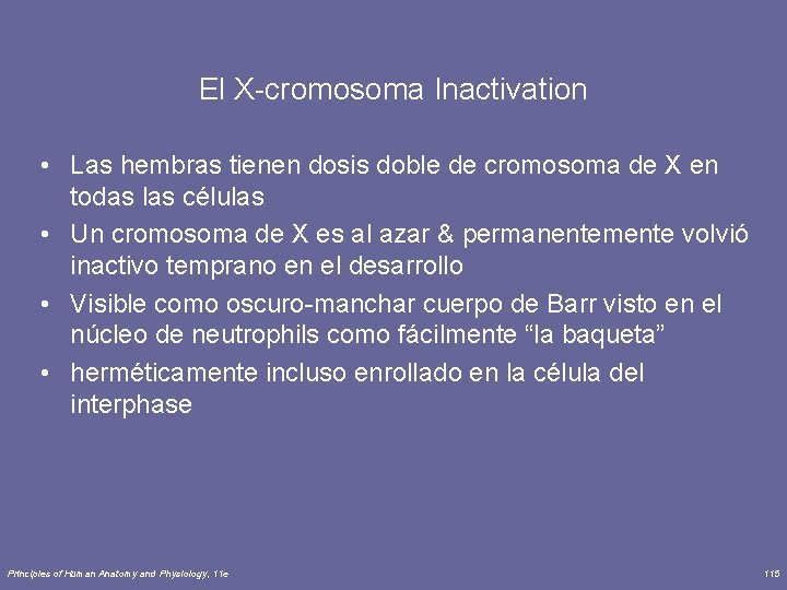 El X-cromosoma Inactivation • Las hembras tienen dosis doble de cromosoma de X en