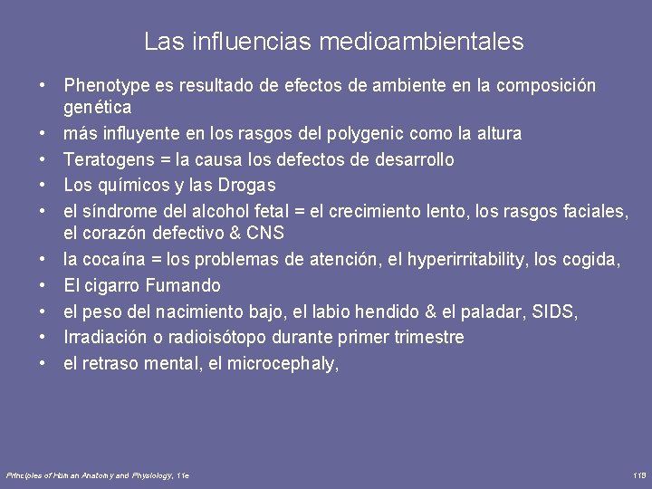 Las influencias medioambientales • Phenotype es resultado de efectos de ambiente en la composición