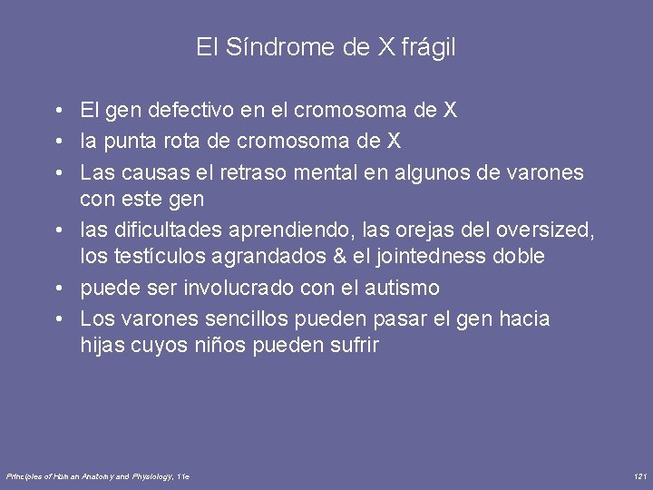 El Síndrome de X frágil • El gen defectivo en el cromosoma de X