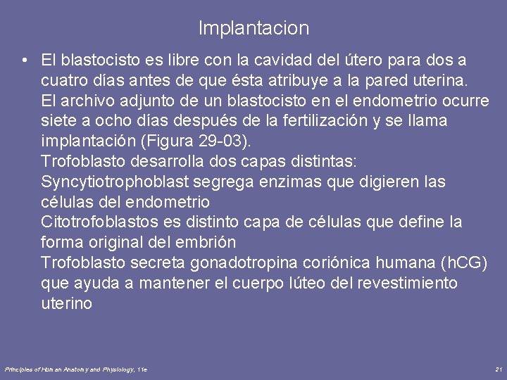 Implantacion • El blastocisto es libre con la cavidad del útero para dos a