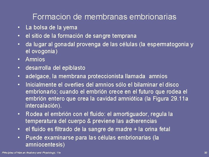 Formacion de membranas embrionarias • La bolsa de la yema • el sitio de