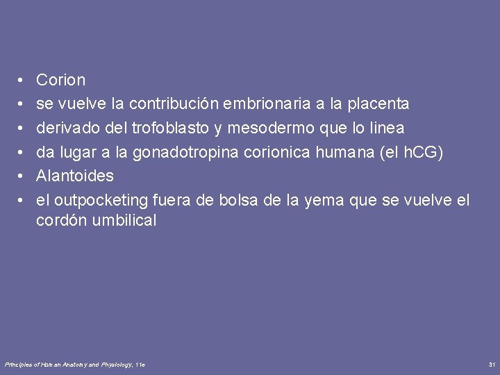  • • • Corion se vuelve la contribución embrionaria a la placenta derivado