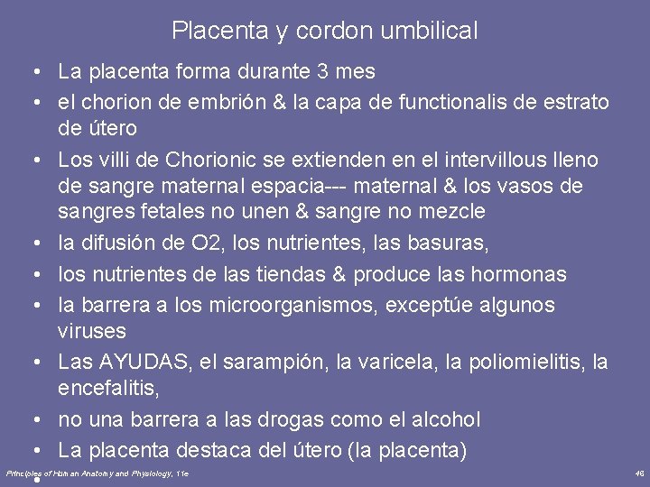 Placenta y cordon umbilical • La placenta forma durante 3 mes • el chorion