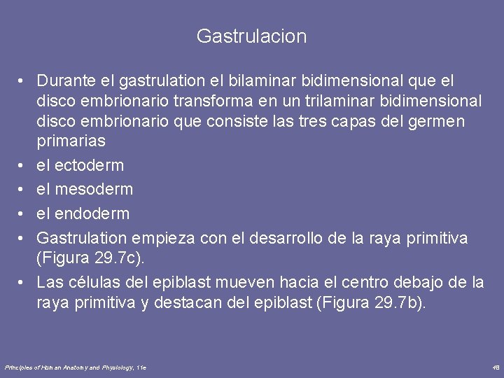 Gastrulacion • Durante el gastrulation el bilaminar bidimensional que el disco embrionario transforma en