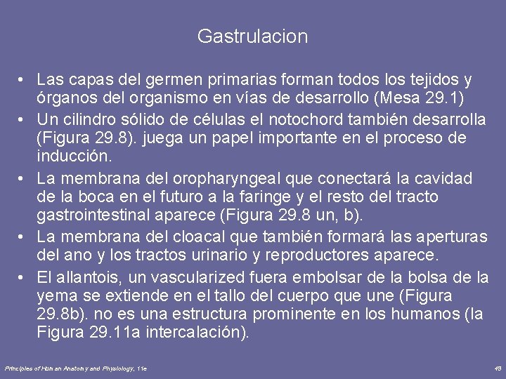 Gastrulacion • Las capas del germen primarias forman todos los tejidos y órganos del