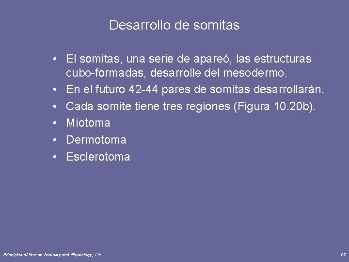 Desarrollo de somitas • El somitas, una serie de apareó, las estructuras cubo-formadas, desarrolle