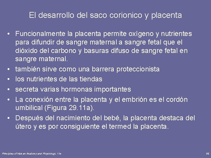 El desarrollo del saco corionico y placenta • Funcionalmente la placenta permite oxígeno y