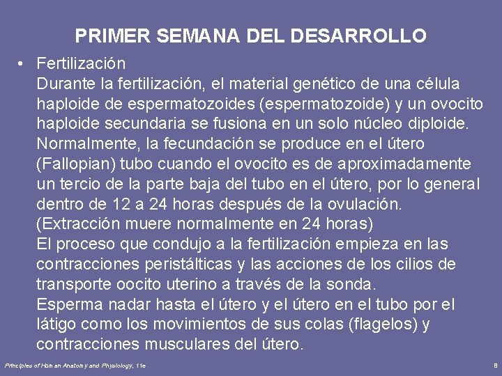 PRIMER SEMANA DEL DESARROLLO • Fertilización Durante la fertilización, el material genético de una