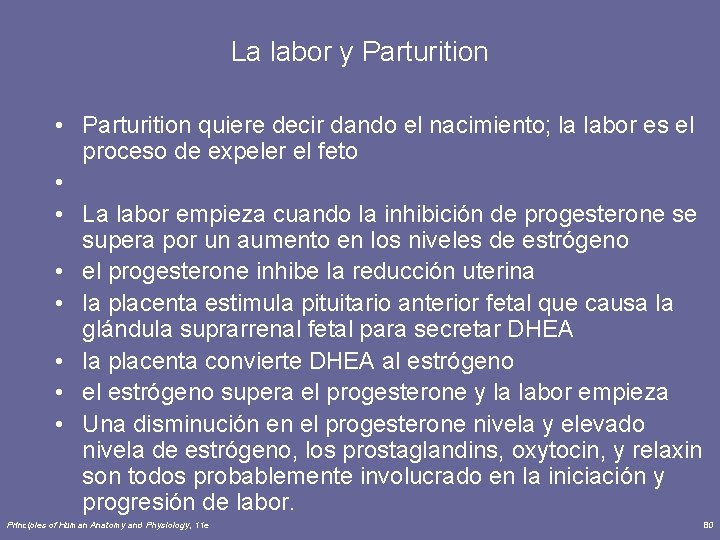 La labor y Parturition • Parturition quiere decir dando el nacimiento; la labor es