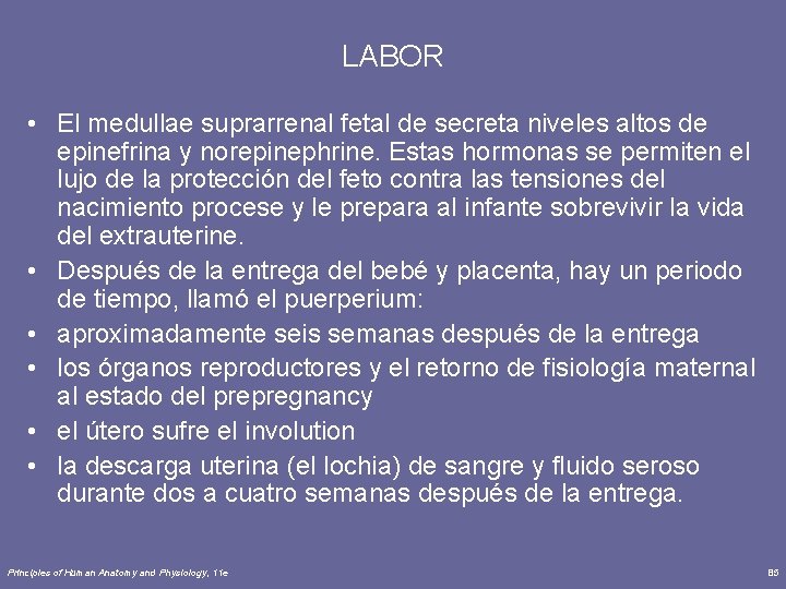 LABOR • El medullae suprarrenal fetal de secreta niveles altos de epinefrina y norepinephrine.