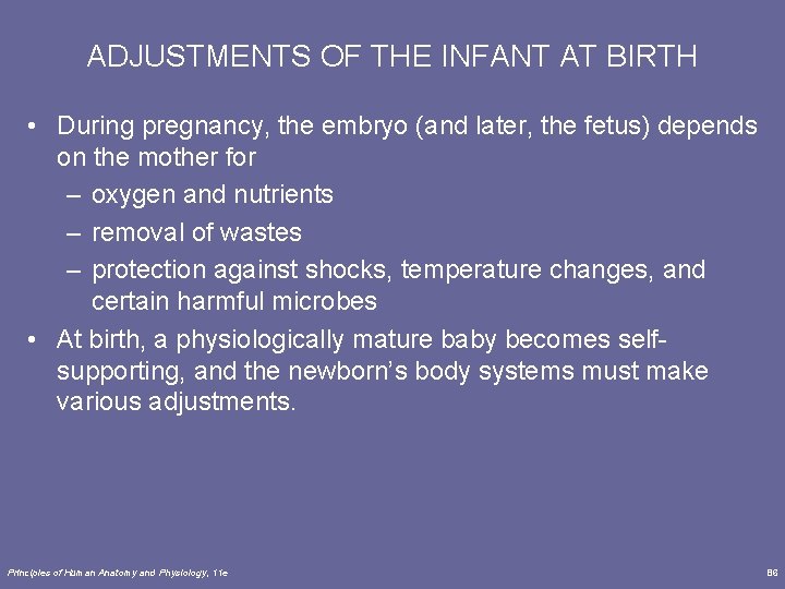 ADJUSTMENTS OF THE INFANT AT BIRTH • During pregnancy, the embryo (and later, the
