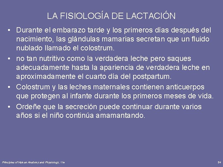 LA FISIOLOGÍA DE LACTACIÓN • Durante el embarazo tarde y los primeros días después
