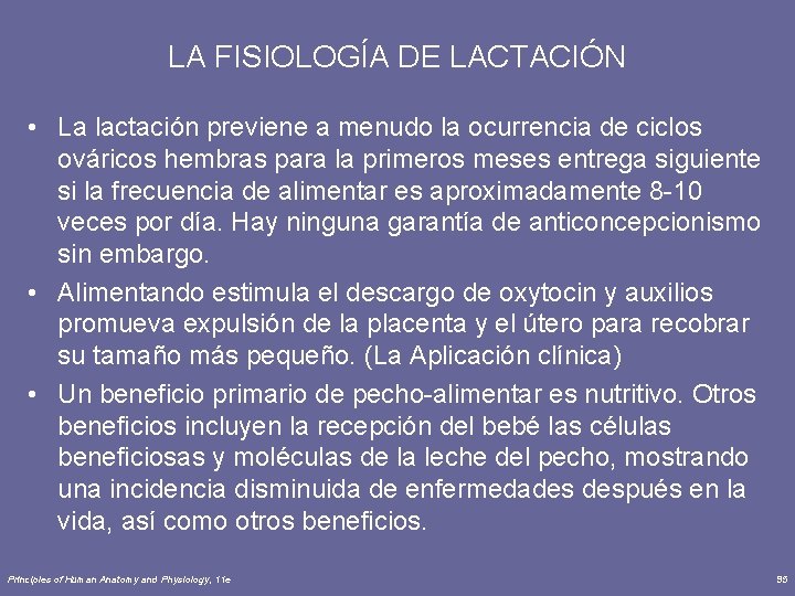 LA FISIOLOGÍA DE LACTACIÓN • La lactación previene a menudo la ocurrencia de ciclos