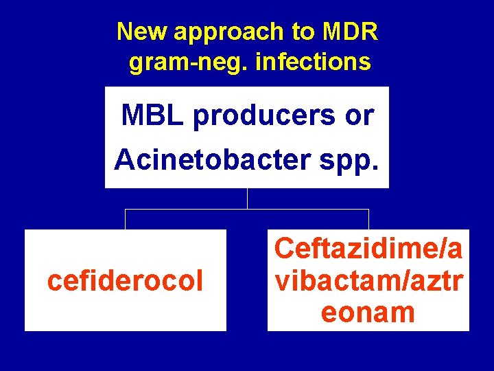 New approach to MDR gram-neg. infections MBL producers or Acinetobacter spp. cefiderocol Ceftazidime/a vibactam/aztr