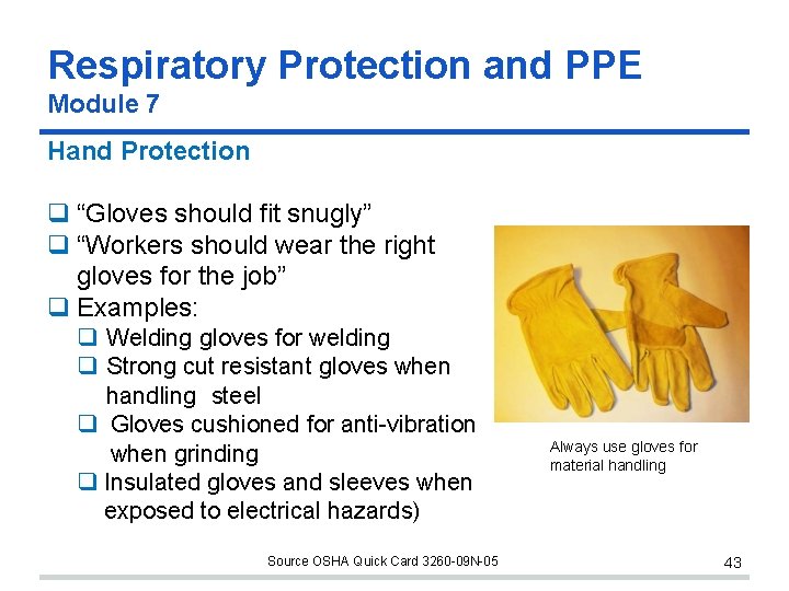Respiratory Protection and PPE Module 7 Hand Protection “Gloves should fit snugly” “Workers should