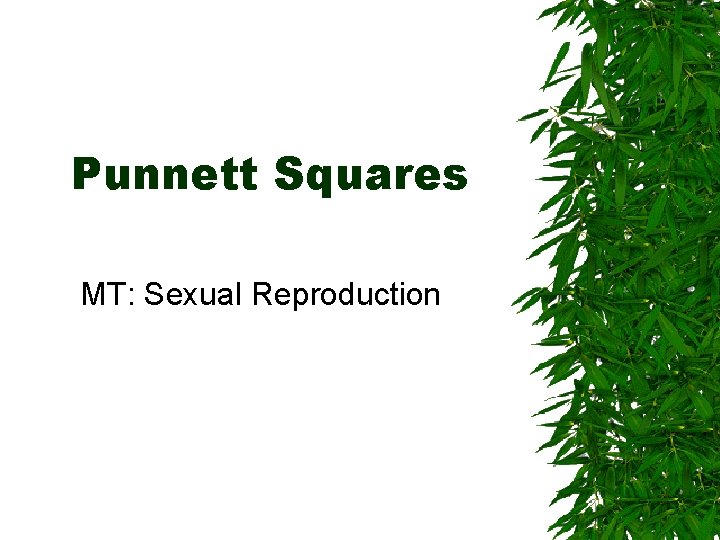 Punnett Squares MT: Sexual Reproduction 