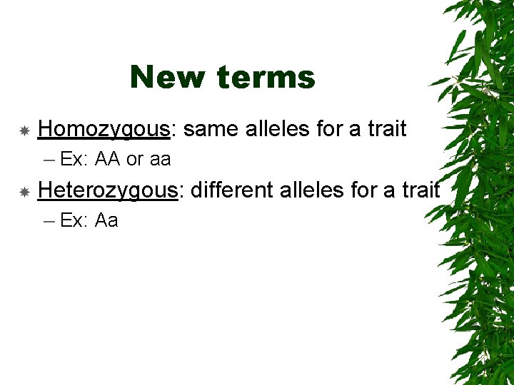 New terms Homozygous: same alleles for a trait – Ex: AA or aa Heterozygous:
