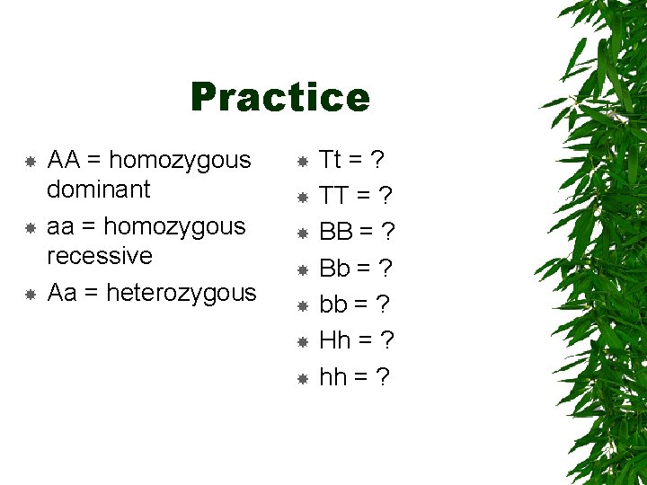 Practice AA = homozygous dominant aa = homozygous recessive Aa = heterozygous Tt =