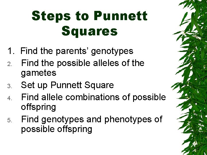 Steps to Punnett Squares 1. Find the parents’ genotypes 2. Find the possible alleles