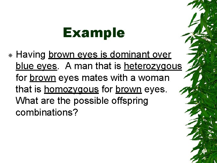 Example Having brown eyes is dominant over blue eyes. A man that is heterozygous