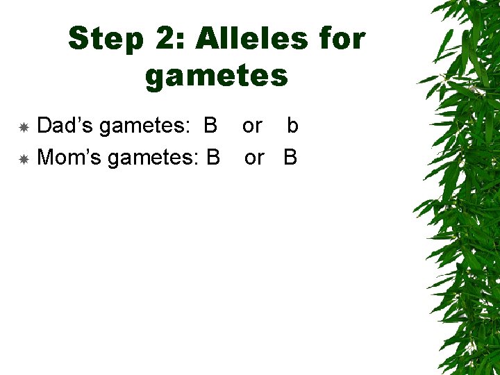 Step 2: Alleles for gametes Dad’s gametes: B or b Mom’s gametes: B or